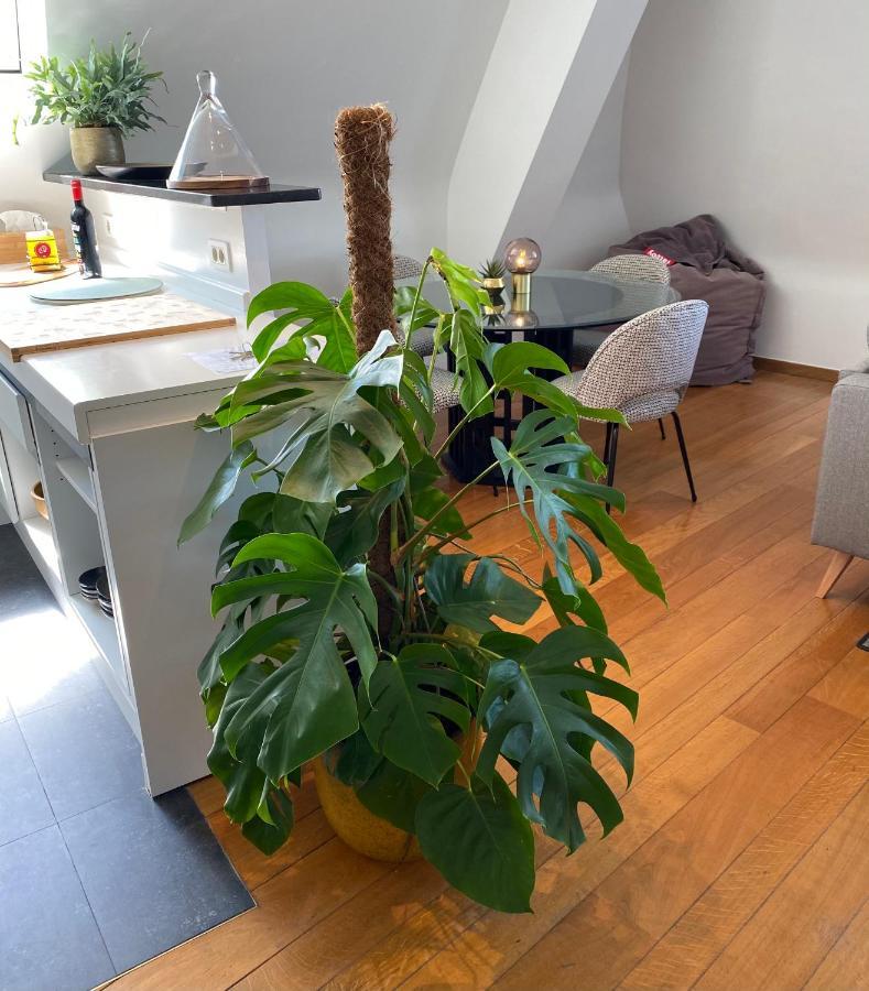 Definitief Gesloten Apartment *